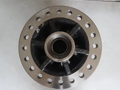 Conjunto do diferencial traseiro